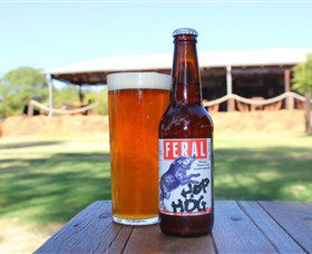 Feral Brewing Company - Accommodation Bookings 0