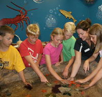 Naturaliste Marine Discovery Centre - Accommodation Bookings