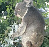 Whiteman Park - Accommodation Bookings