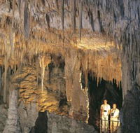 Mammoth Cave - Accommodation Bookings