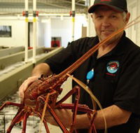 Lobster Shack - Accommodation Bookings