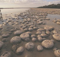 Lake Clifton Thrombolites - Accommodation Bookings