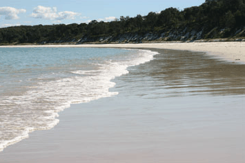 Dolphin Watch Cruises - Accommodation Bookings 5