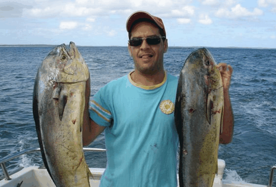 Jervis Bay Fishing and Charters - Accommodation Bookings