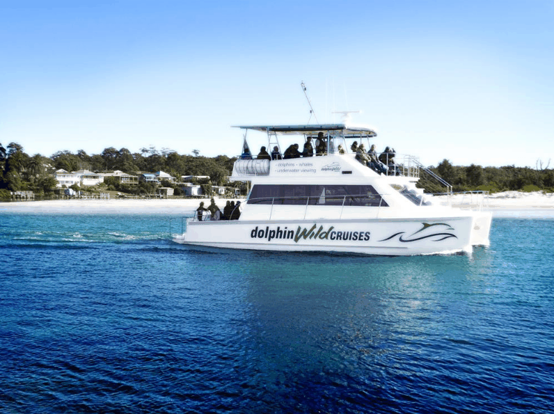 Dolphin Wild Cruises - thumb 1