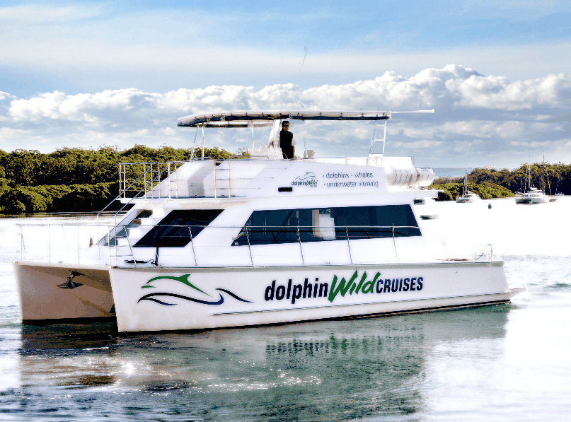 Dolphin Wild Cruises - thumb 2
