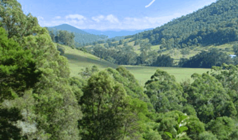Blue Poles Gallery - Accommodation Bookings 1