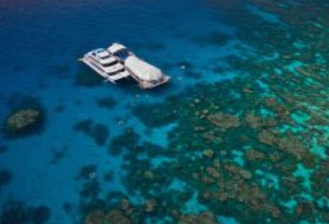 Great Adventures Reef And Green Island Cruises - Accommodation Bookings 0