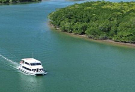 Cairns Harbour Cruises - Accommodation Bookings 3