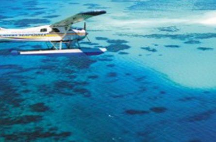 Cairns Seaplanes - Accommodation Bookings 1