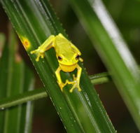 Daintree River Cruise Centre - Accommodation Bookings
