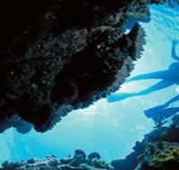 Deep Sea Divers Den - Accommodation Bookings