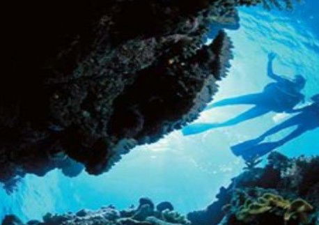 Deep Sea Divers Den - Accommodation Bookings 0