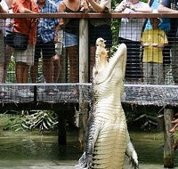 Hartley's Crocodile Adventures - Accommodation Bookings