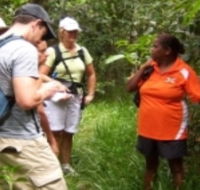 Ingan Tours - Spirit of the Rainforest Tour - Accommodation Bookings