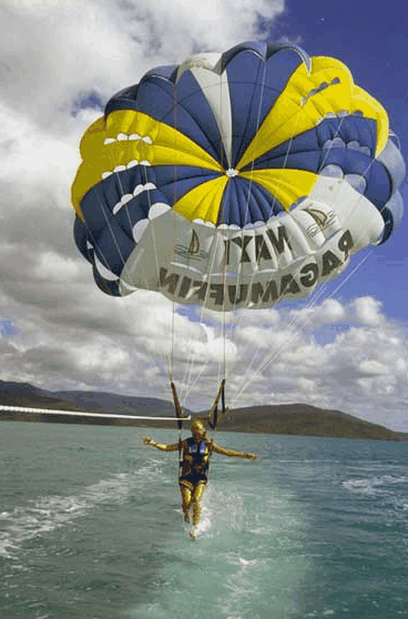 Island Parasail - Accommodation Bookings 2