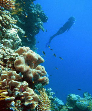 Kamerunga QLD Accommodation Bookings