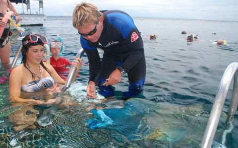 Reef Magic Cruises - Accommodation Bookings 4