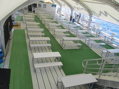 Reef Magic Cruises - Accommodation Bookings 5