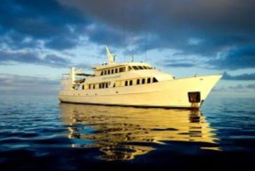 Spirit Of Freedom - Accommodation Bookings 0