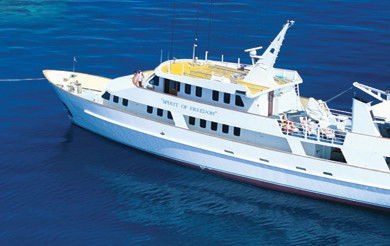 Spirit Of Freedom - Accommodation Bookings 4