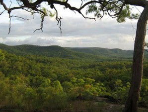 Cooktown Aboriginal Art Tours - Accommodation Bookings 1