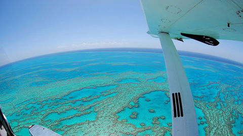 Air Whitsunday Day Tours - Accommodation Bookings 0