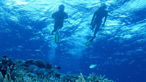 Air Whitsunday Day Tours - Accommodation Bookings 1