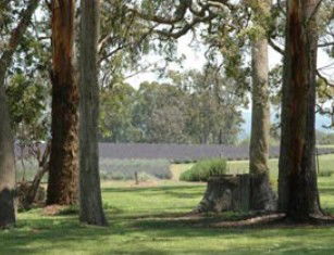 Undercliffe QLD Accommodation Bookings