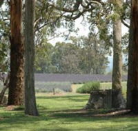 Aloomba Lavender - Accommodation Bookings