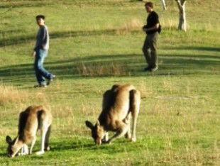 Southern Queensland Country QLD Accommodation Bookings