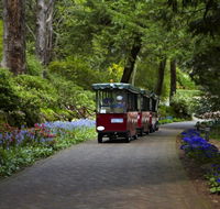 Araluen Botanic Park - Accommodation Bookings