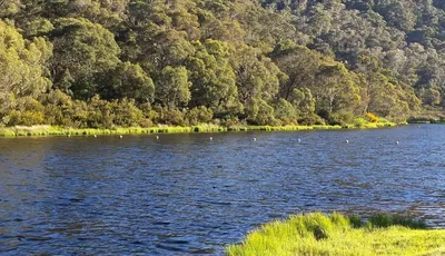 Jindabyne