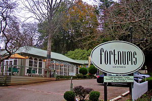  Accommodation Bookings