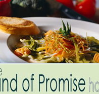 Land of Promise Hotel - Accommodation Bookings