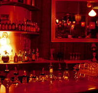 The Night Cat - Accommodation Bookings