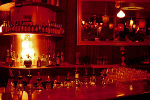 The Night Cat - Accommodation Bookings 0