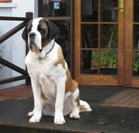 St Bernards Hotel - Accommodation Bookings
