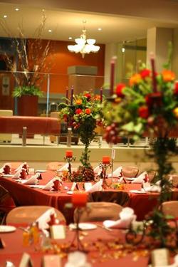  Accommodation Bookings