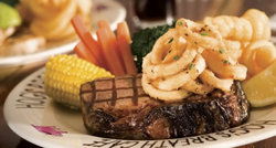 Hogs Breath Cafe - Accommodation Bookings 1
