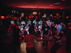 The Night Cat - Accommodation Bookings 1