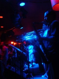 The Night Cat - Accommodation Bookings 2