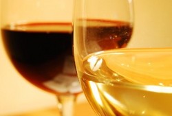 Rrose Bar - Accommodation Bookings 3