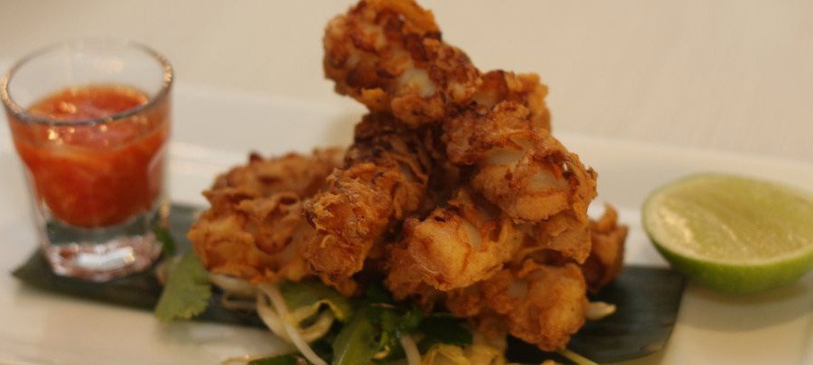 Castlecrag NSW Accommodation Bookings