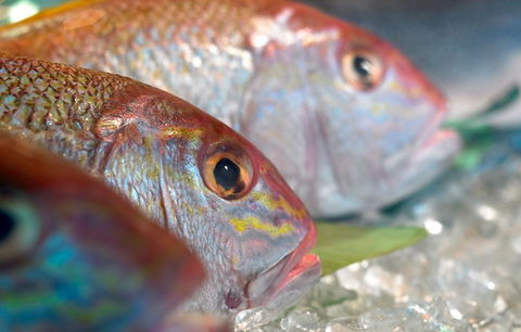 Coro Hotel - Lure Seafood Restaurant - Accommodation Bookings 0