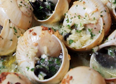 La Porte Verte - Accommodation Bookings 1