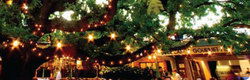 Neutral Bay NSW Accommodation Bookings