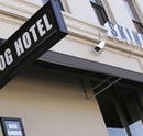 Skinny Dog Hotel
