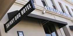 Skinny Dog Hotel - Accommodation Bookings 0