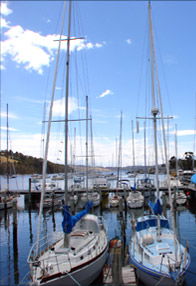  Accommodation Bookings
